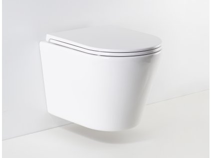 20703 zavesne wc ovale basso rimless se slim sedatkem soft close