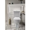 Sapho 753344 WC štětka na postavení bronz