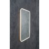 Sapho Float 60 x 80 cm zrcadlo s LED osvětlením 22572 bílá