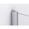 SanSwiss DIVERA 100 cm čtvrtkruh sprchový kout - aluchrom/sklo Screen D22ERB551025087