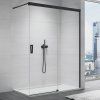 SanSwiss Cadura 100 cm pevná stěna walk-in - černý/sklo Screen CAW2D1000687