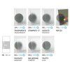 15536 becolors walk in