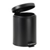 24918 odpadkovy kos soft close 5l 205265205 mm