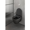GSI Pura závěsná wc mísa Swirlflush 36 x 50 cm keramika černá dual-mat 881626