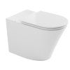 Bruckner Fein wc kombi mísa 61 x 36 cm rimless spodní zadní odpad bílá 201.424.4
